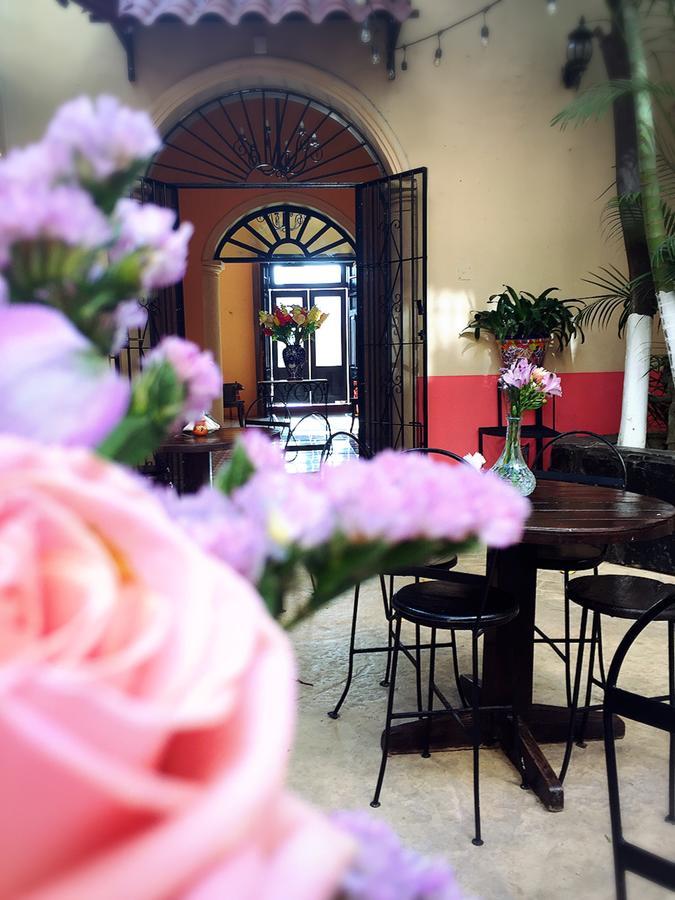 Casa Catrina&Diego Hotel Mérida Kültér fotó